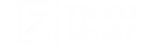 brand_item17-150x46-1-1-1.webp